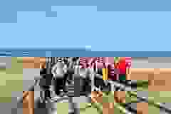 019